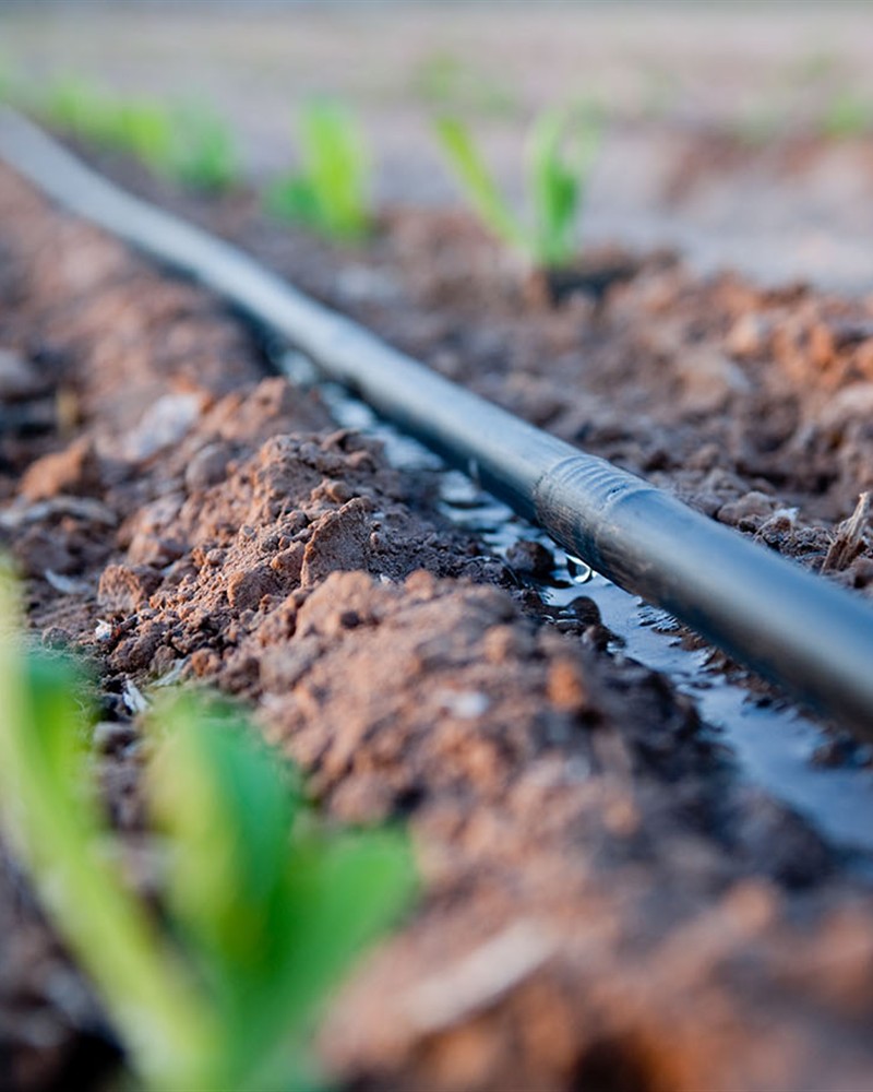 Drip Irrigation Pipes